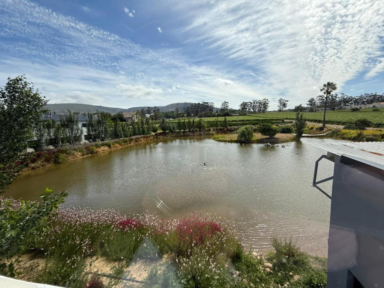 Middelplaas Paarl Guesthouse מראה חיצוני תמונה