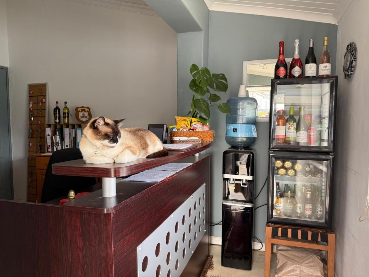 Middelplaas Paarl Guesthouse מראה חיצוני תמונה